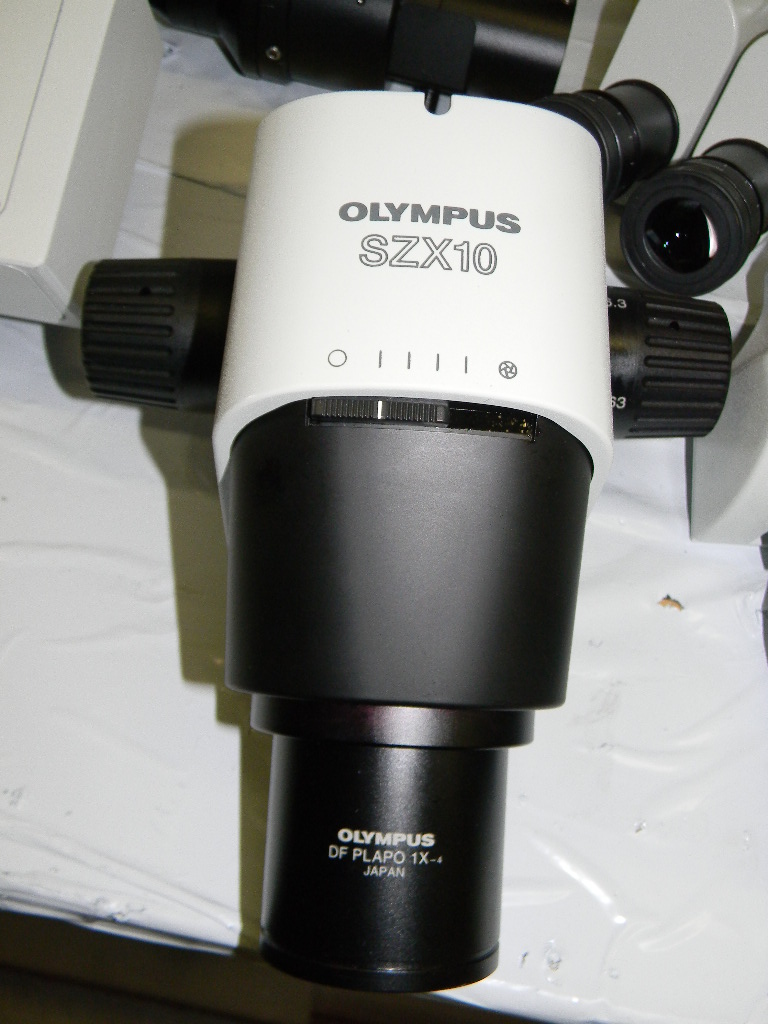 Olympus SZX10 Trinocular Teaching Microscope W Trinocular, Prior Lumen